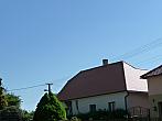 Třibřichy